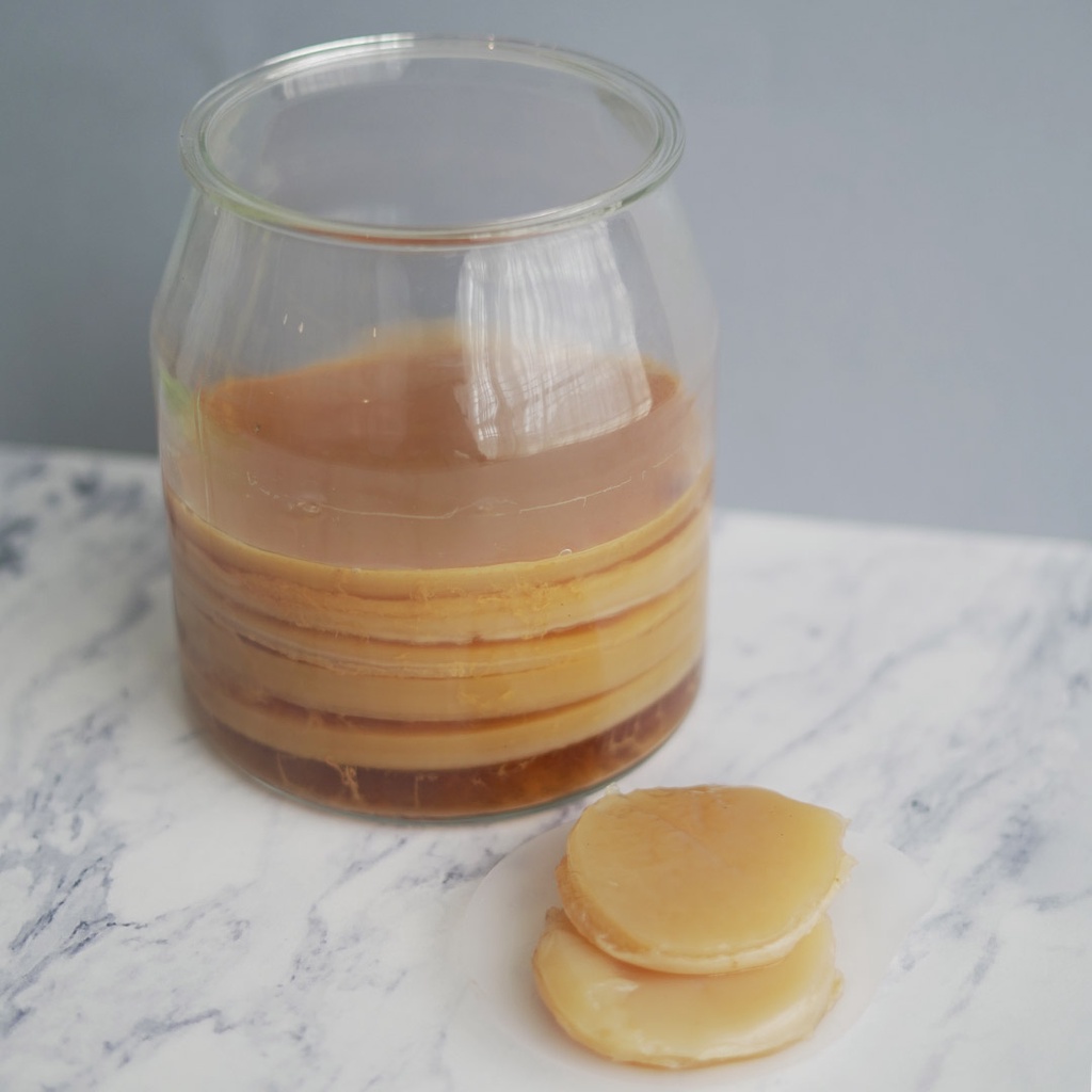 UPMARKET SCOBY / Cendawan Mekah / Kombucha Scoby with 200ml of Starter Tea Shopee Malaysia