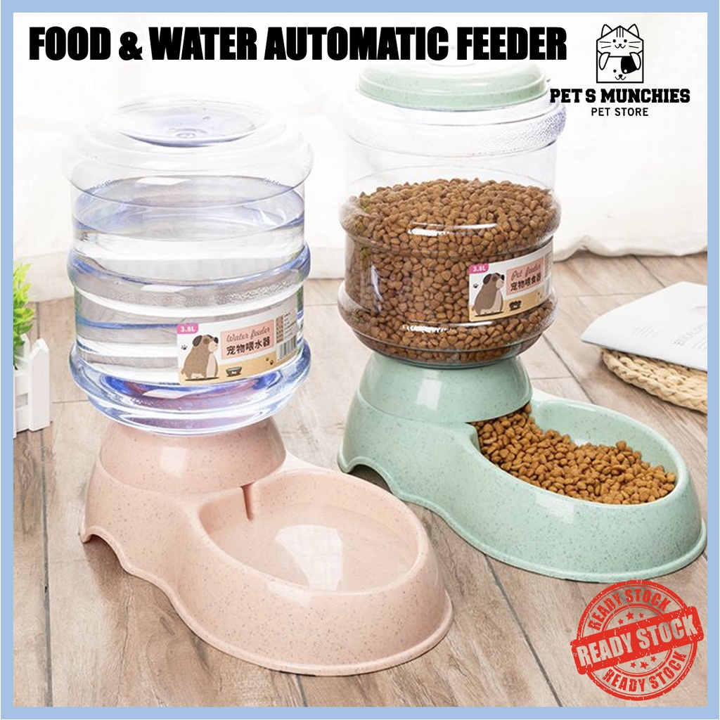 Automatic cat food and water outlet feeder