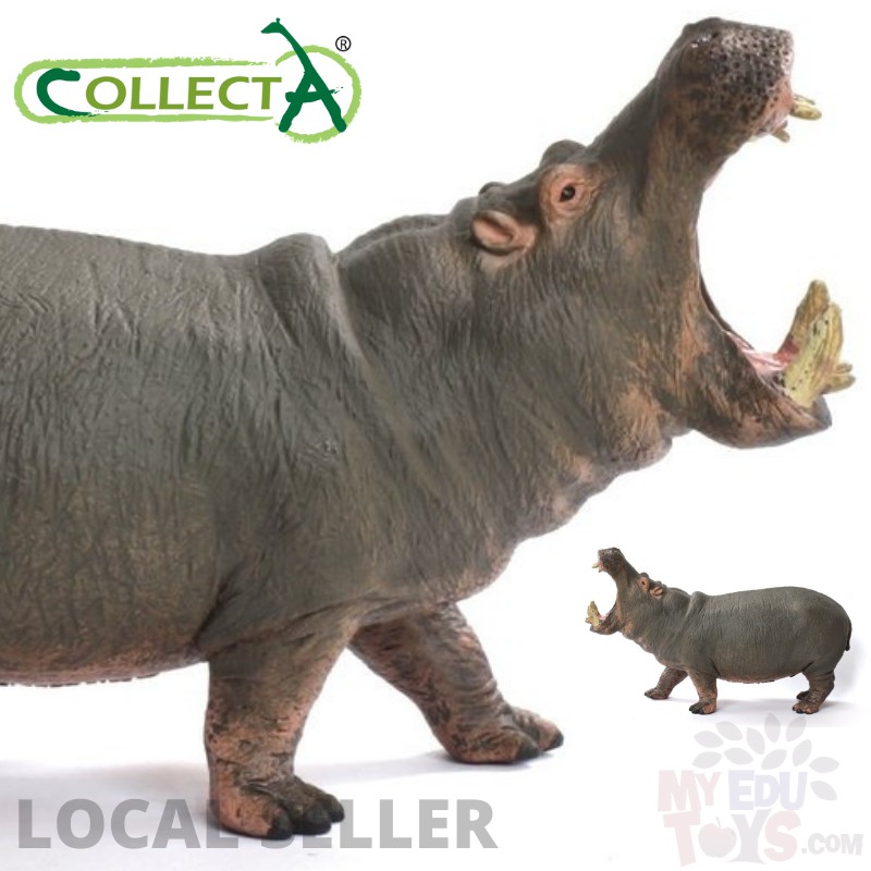 Hippopotamus CollectA 88833 Wild Life Animal Action Figures/Figurine/Toys Collection Shopee