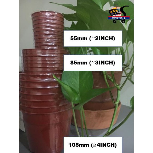 Mini Plastic Flower Pots vase / Pasu Bunga Plastik kecil Coklat Tebal Tahan  Lasak 【Ø55mm】