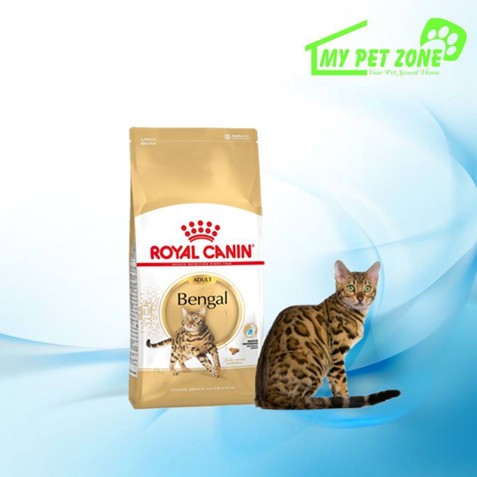 Bengal royal cheap canin