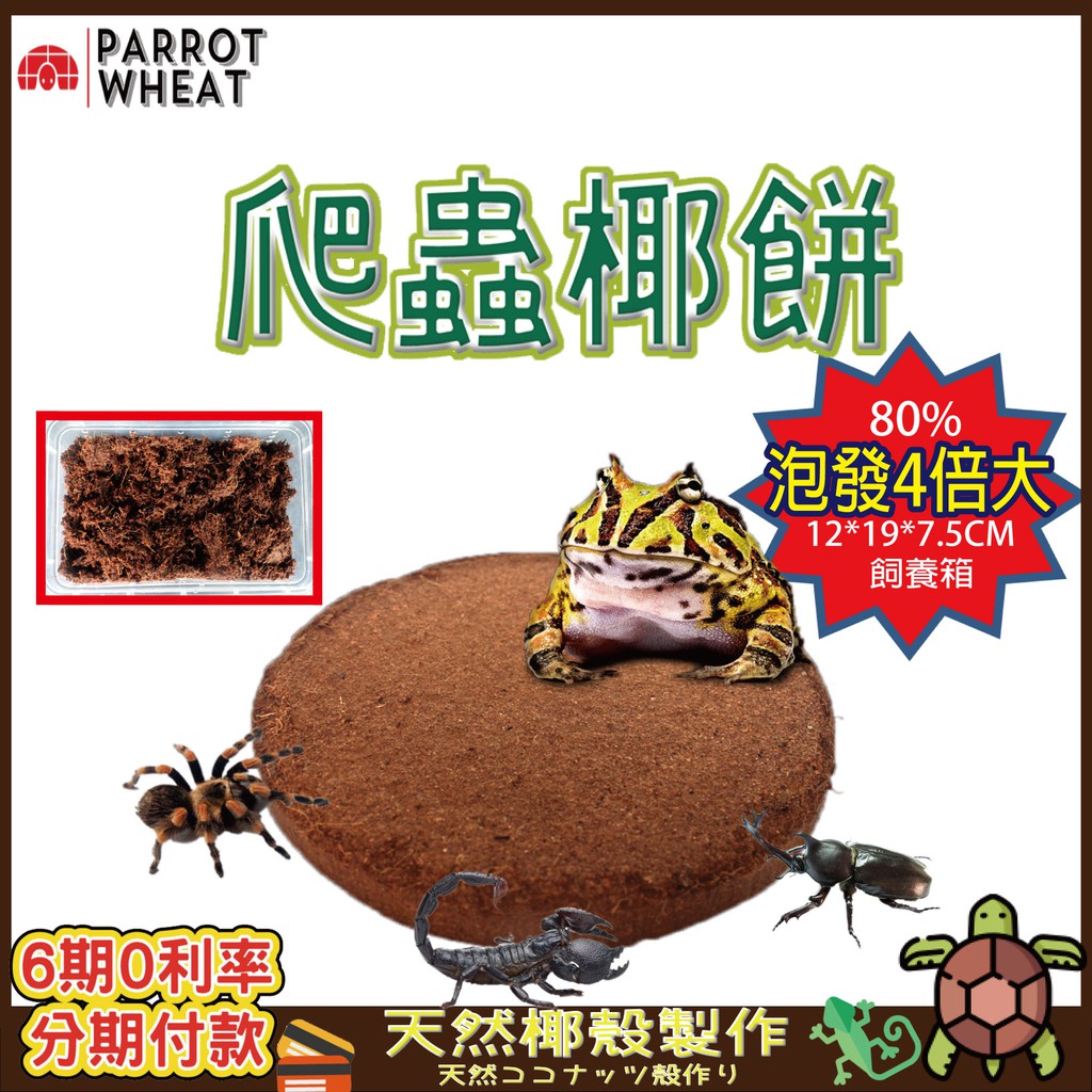 [Taiwan 24H Delivery] Coconut Soil Sterile Reptile Litter Cake Horned ...