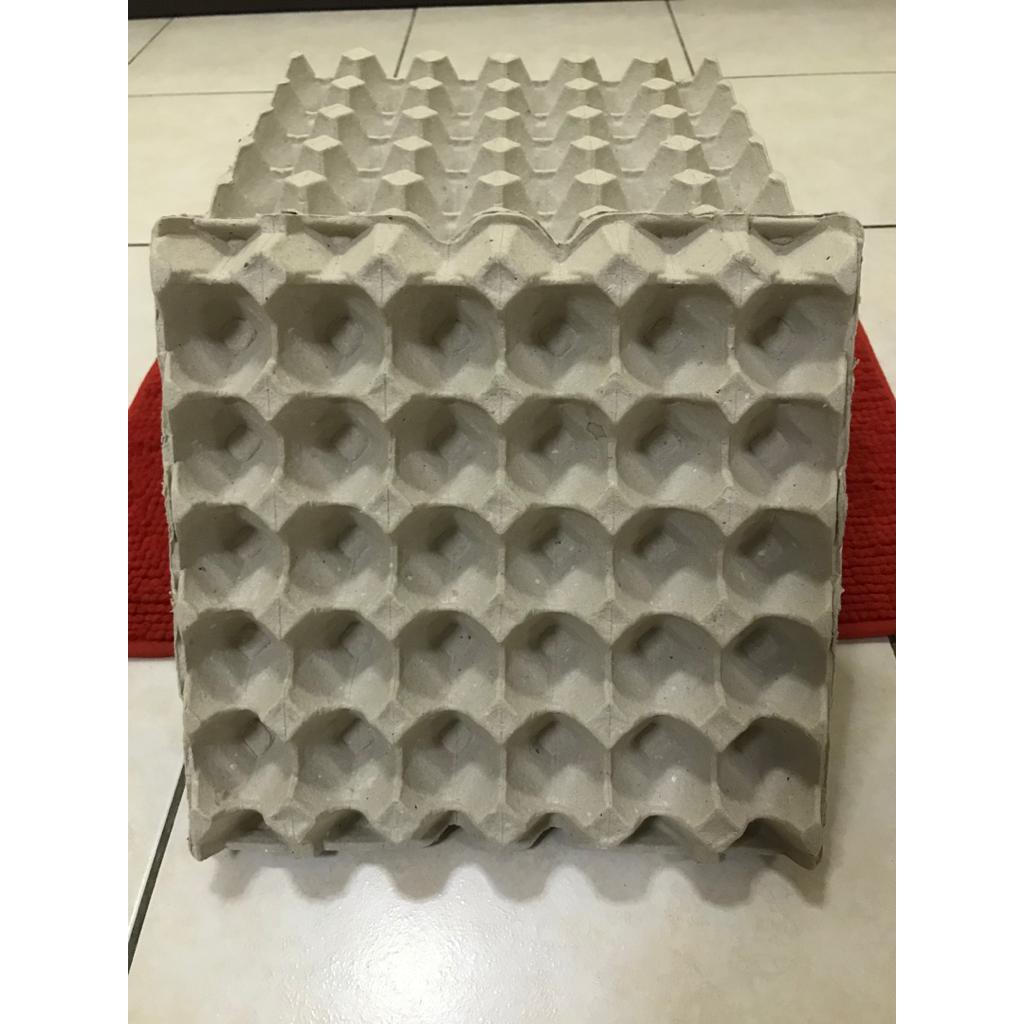 Egg crate for (dubia) (roaches) Shopee Malaysia