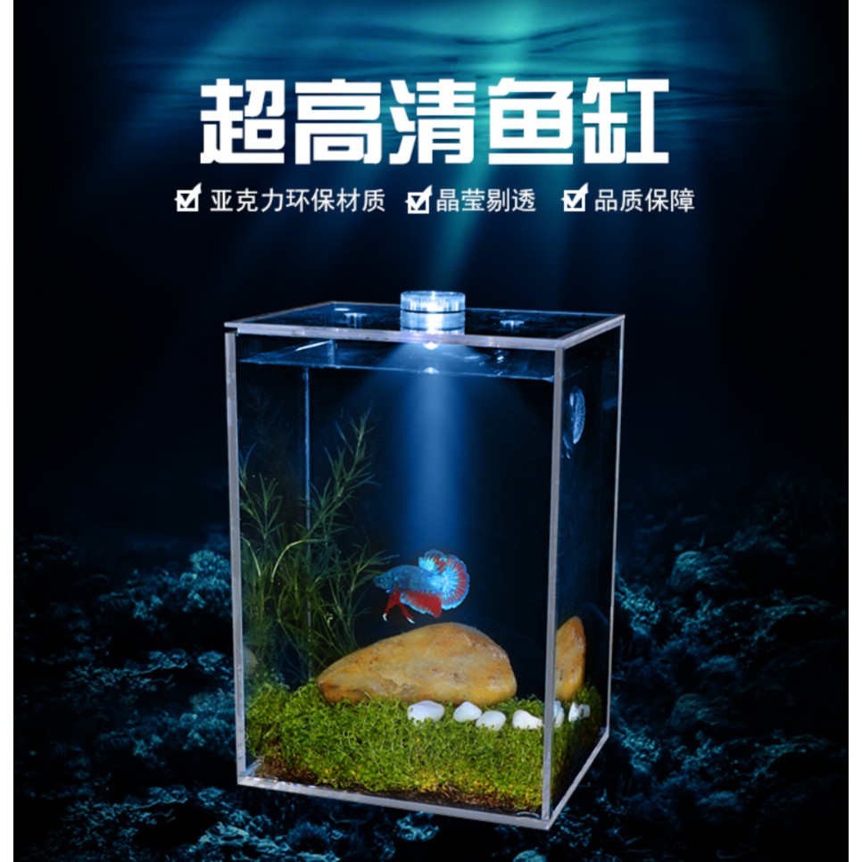 Mini Aquarium Fish Box With LED Light Small Betta Fish, Shrimp, Moss ...