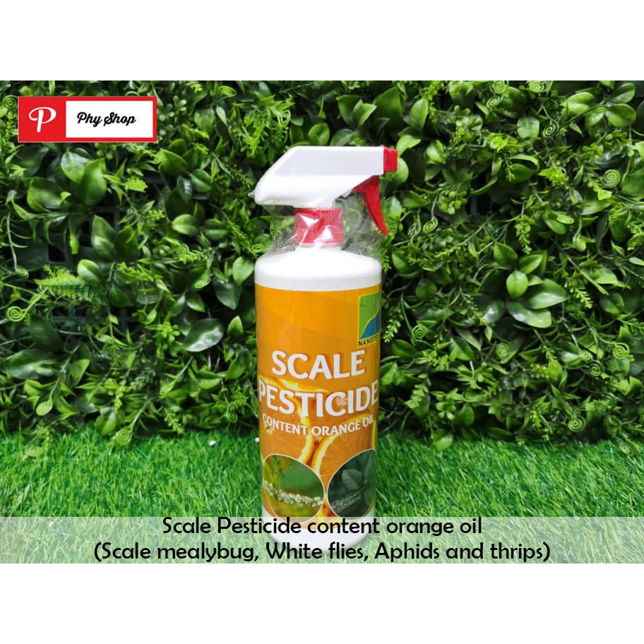 Scale Pesticide content orange oil (Scale mealybug, White flies, Aphids ...