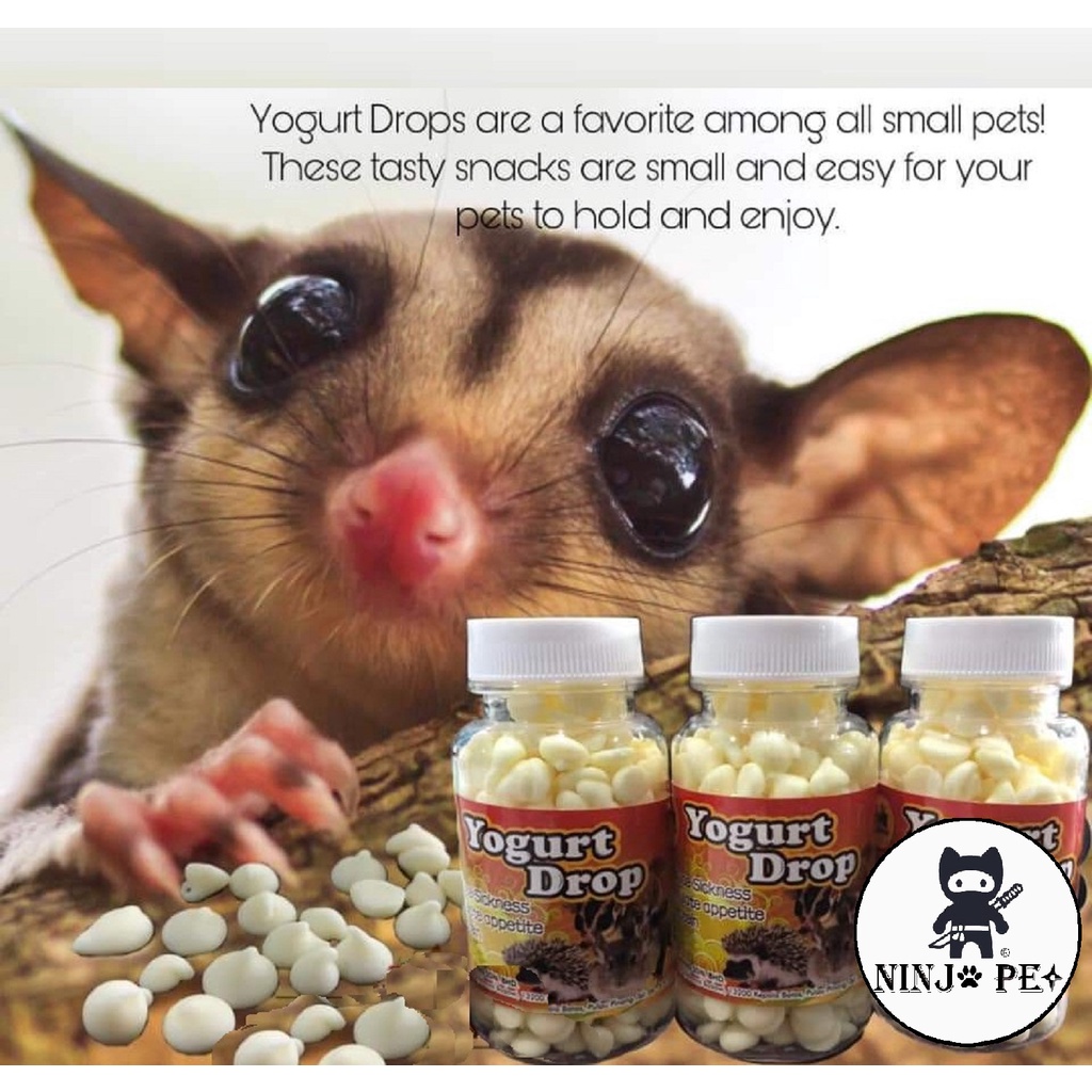 PET WORLD YOGURT DROP FOR SUGAR GLIDER 50G Shopee Malaysia