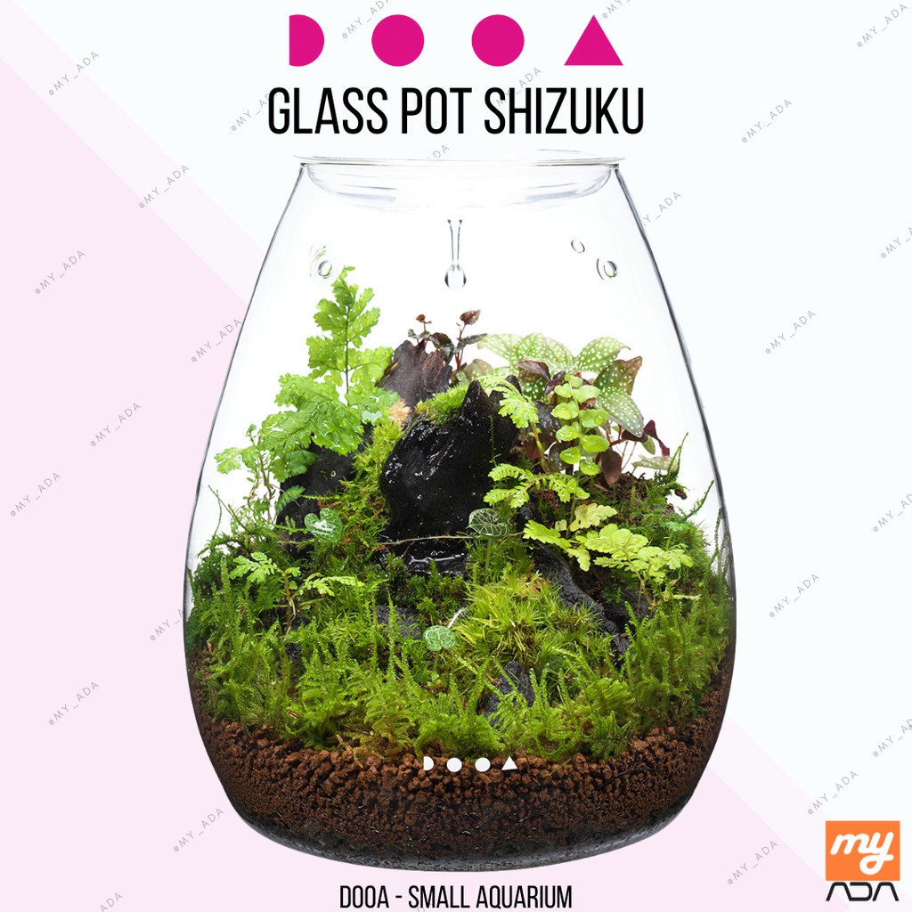 DOOA Glass Pot Shizuku ADA Glass Pot Aqua Design Amano | Shopee