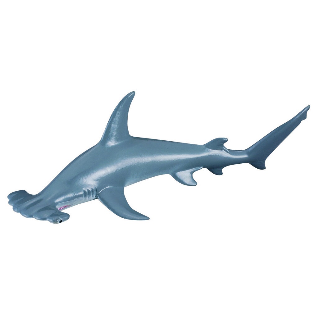 NEW CollectA 88045 SCALLOPED HAMMERHEAD SHARK Model 15.5cm - SeaLife