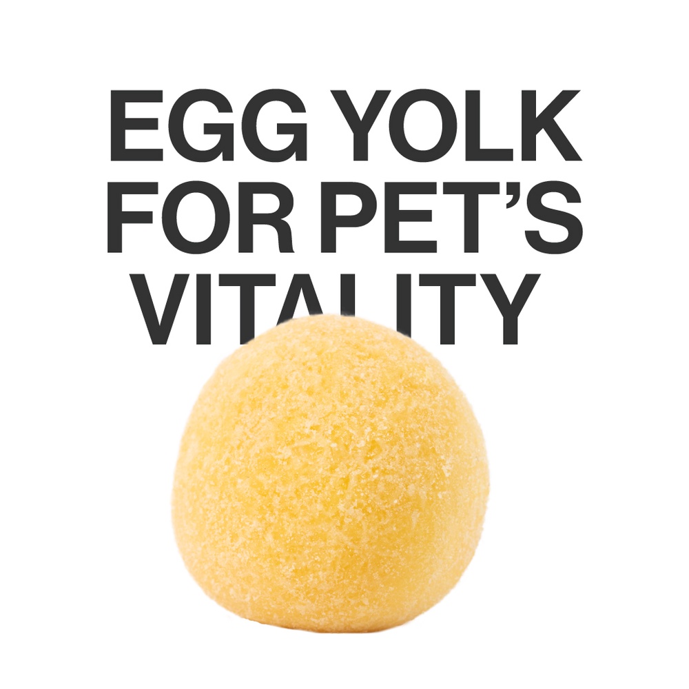 pidan FreezeDried Quail Egg Yolk for cats Cat Snacks Nutrition Food