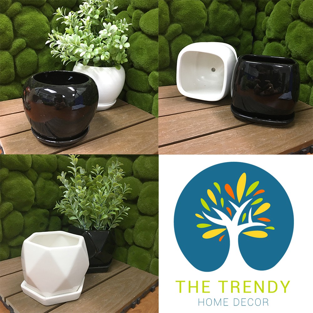 3 Difference Shape Simplified Flower Pot Indoor Creative Tabletop