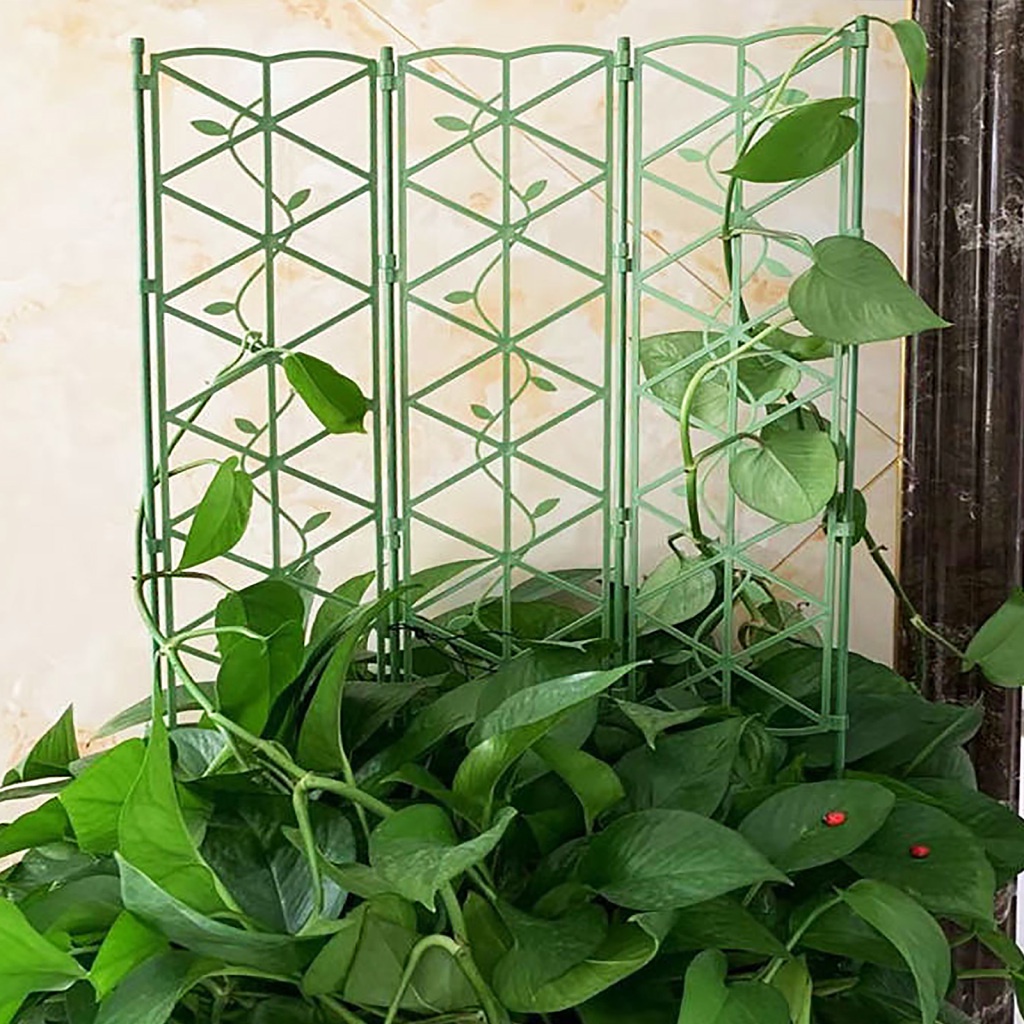 Shelf Vine Climbing Rack Frame Grid Flower Stand Flowers Suitable