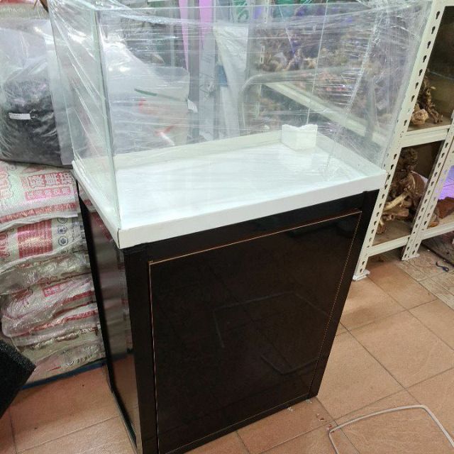 2 feet cheap aquarium