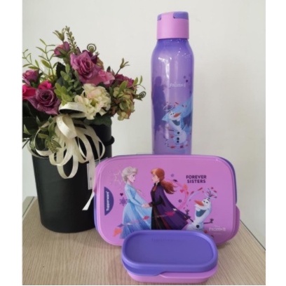 Tupperware Disney Frozen Collectable Set | Shopee Malaysia