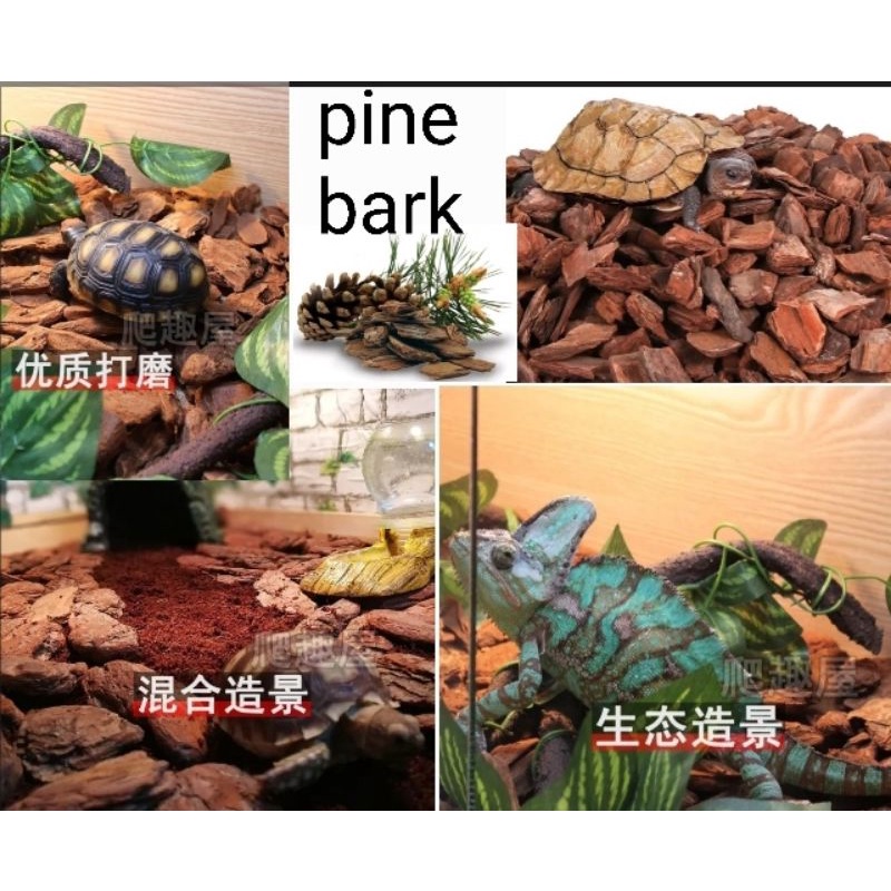 >>exotic reptile bedding terrarium coconut soil cocopeat husk hermit