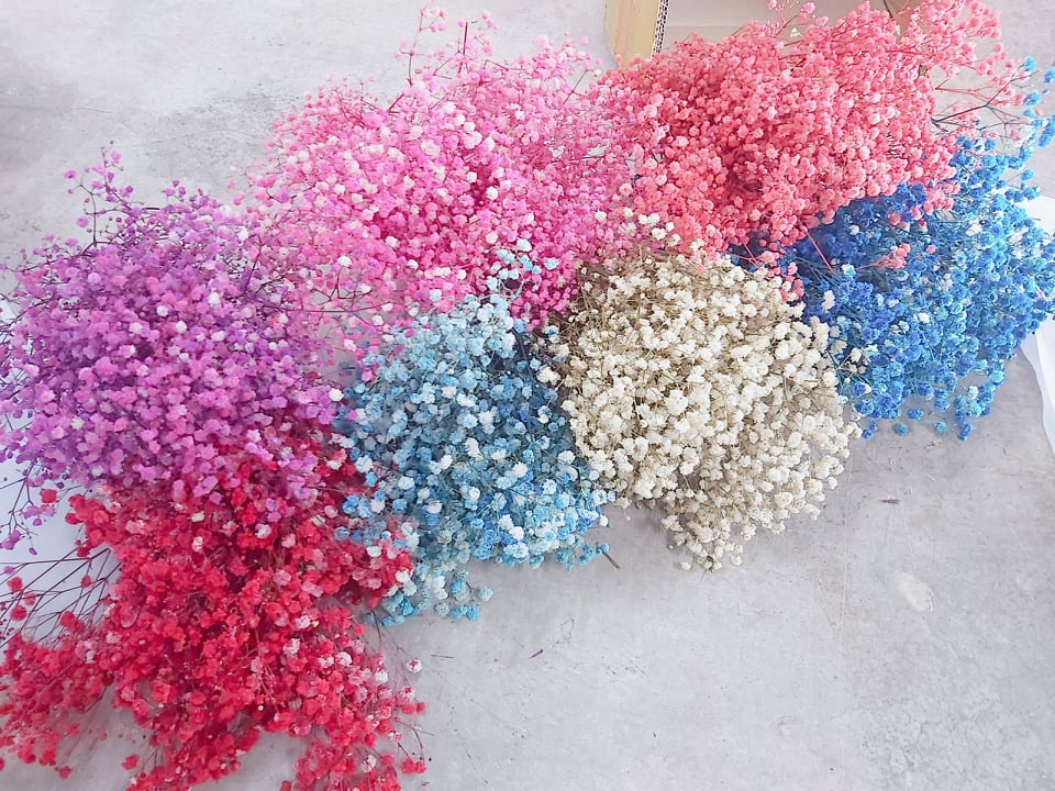 Harga Borong old stock💗50g Preserved Flower Baby Breath Gypsophila