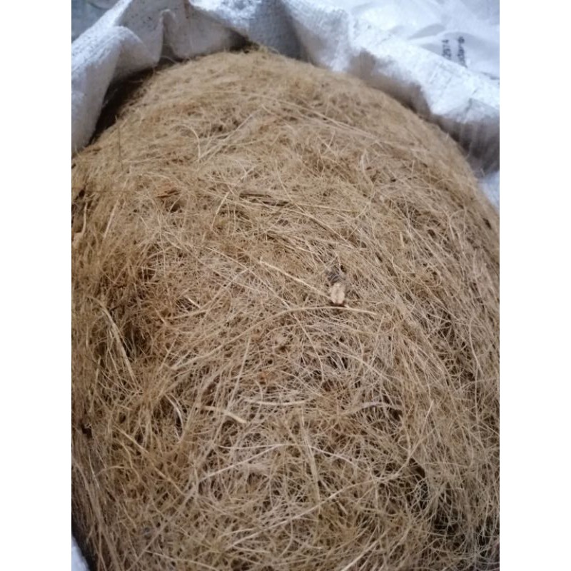 COCONUT HUSK/FIBER/SABUT KELAPA(KASAR) | Shopee Malaysia