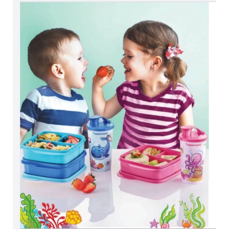  Latest Stock Tupperware Lollitup Lunch Box 550ml Shopee Malaysia