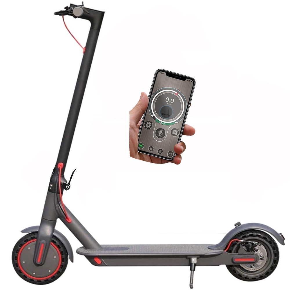 Scoot N Cycle Electric Scooter Footboard Scooter Bike 350w 25km/h