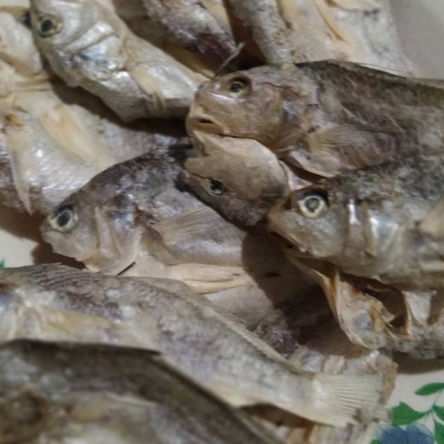 Rockfish Salted Fish / GULAMA Salted Fish / SAMGE Salted Fish | Shopee ...