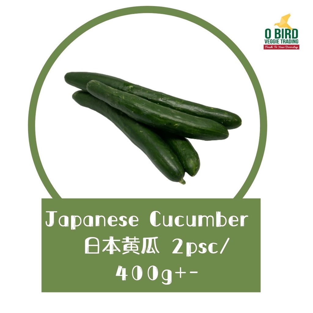 日本黄瓜 Japanese Cucumber （2pcs/400g+) Shopee Malaysia