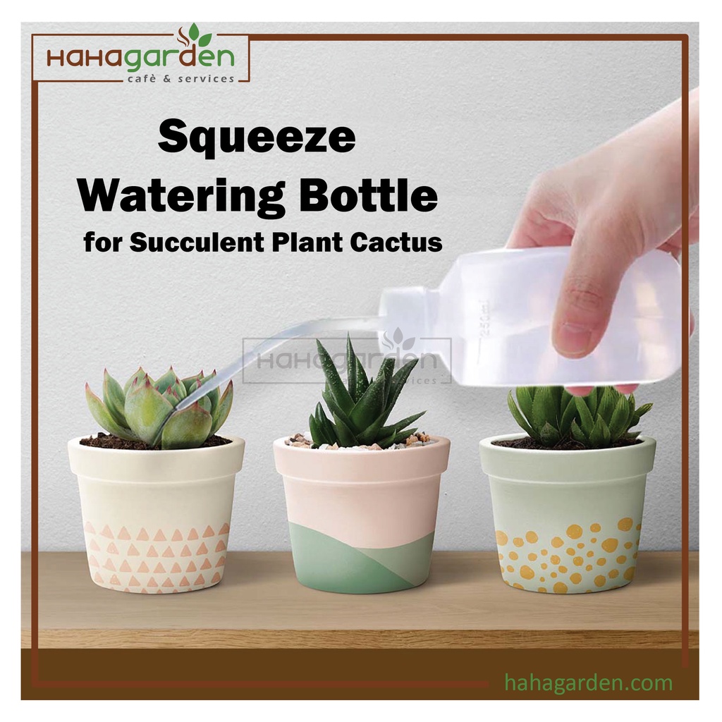 Squeeze Watering Bottle for Succulent Plant Cactus (250ml) Shopee
