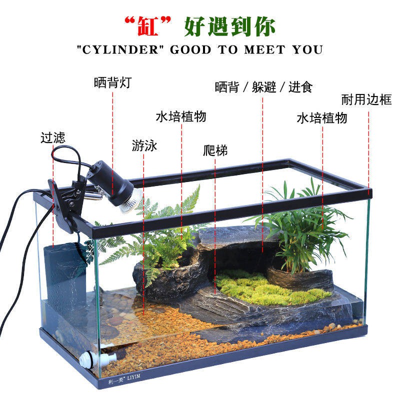 Silinder Penyu dengan Sun Table Turtle Villa Ecological Turtle Turtle ...