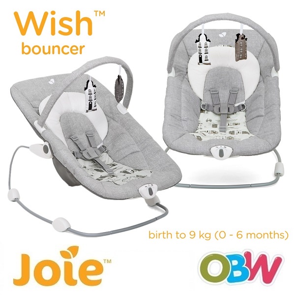 Joie wish 2024 bouncer chair