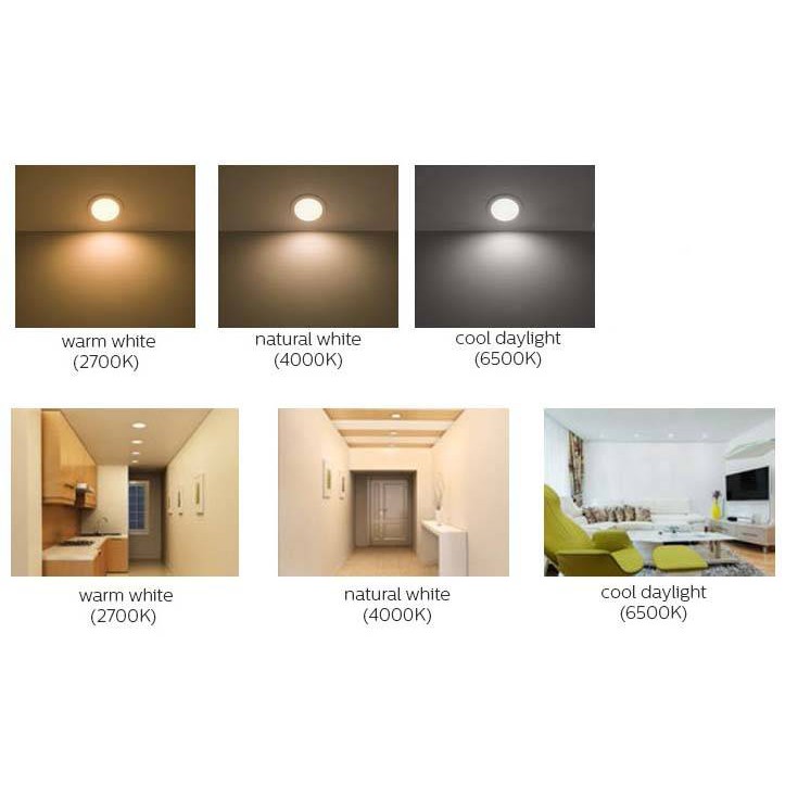 Cool white downlight sales
