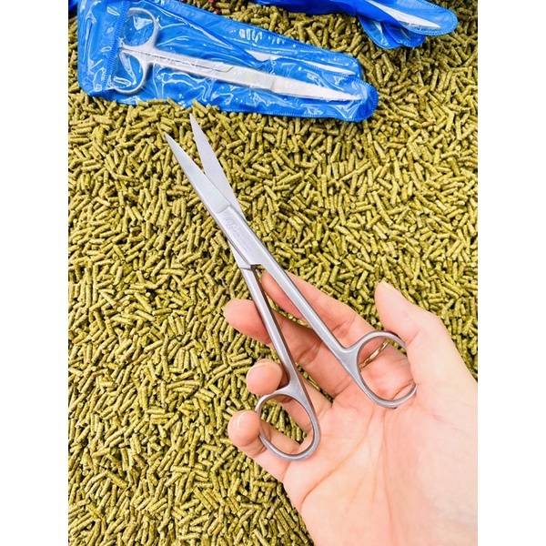 Photo inspiration: Lovebird Feather Trimming Scissors Reference: Curved Scissors For Trimming Chicken Feathers