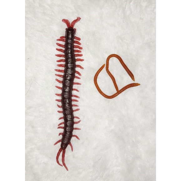 Set Cacing (fake worm) getah lembut | Shopee Malaysia