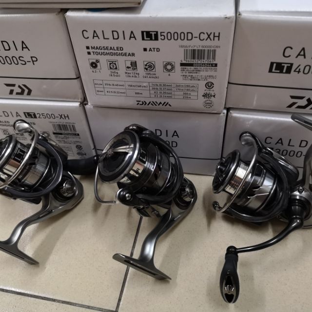 DAIWA CALDIA LT1000S-P /LT6000D FISHING REEL | Shopee Malaysia