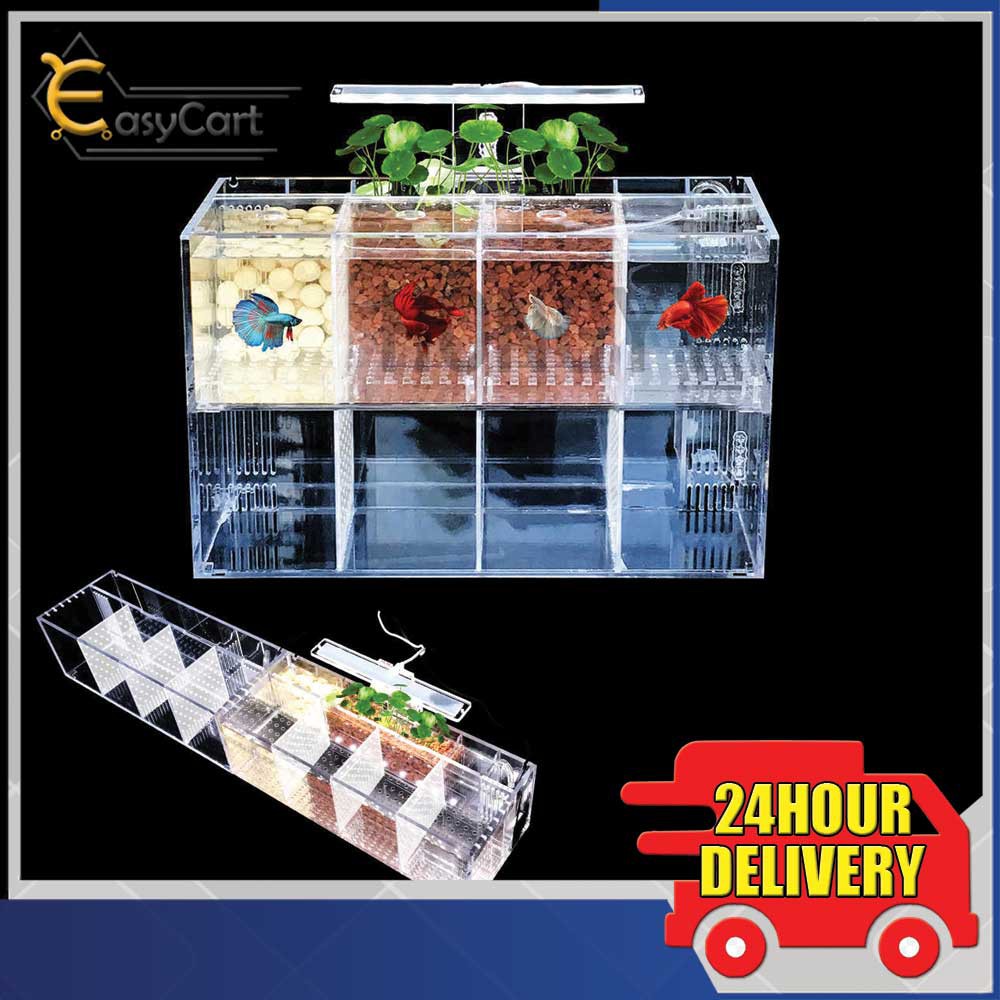 Betta Fish Tank Guppies Breeding Hatching Isolation Box Acrylic Special ...