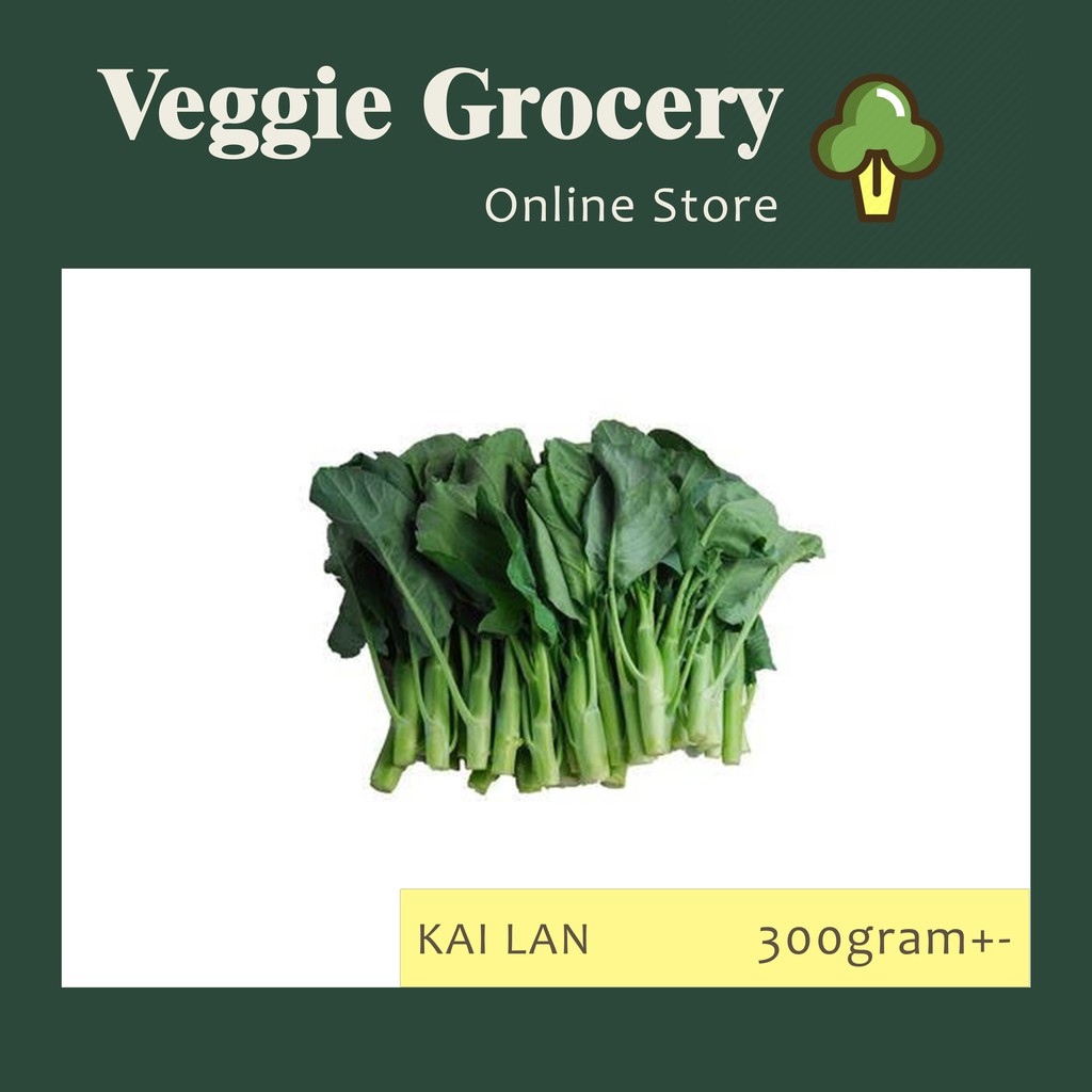 Kailan Cameron Chinese Kale 芥兰 300gram+- Fresh vegetable from Cameron ...