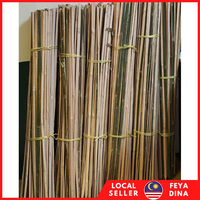 Pancang Pokok Buluh Batang Buluh (25 Batang)- Garden Plant Support ...