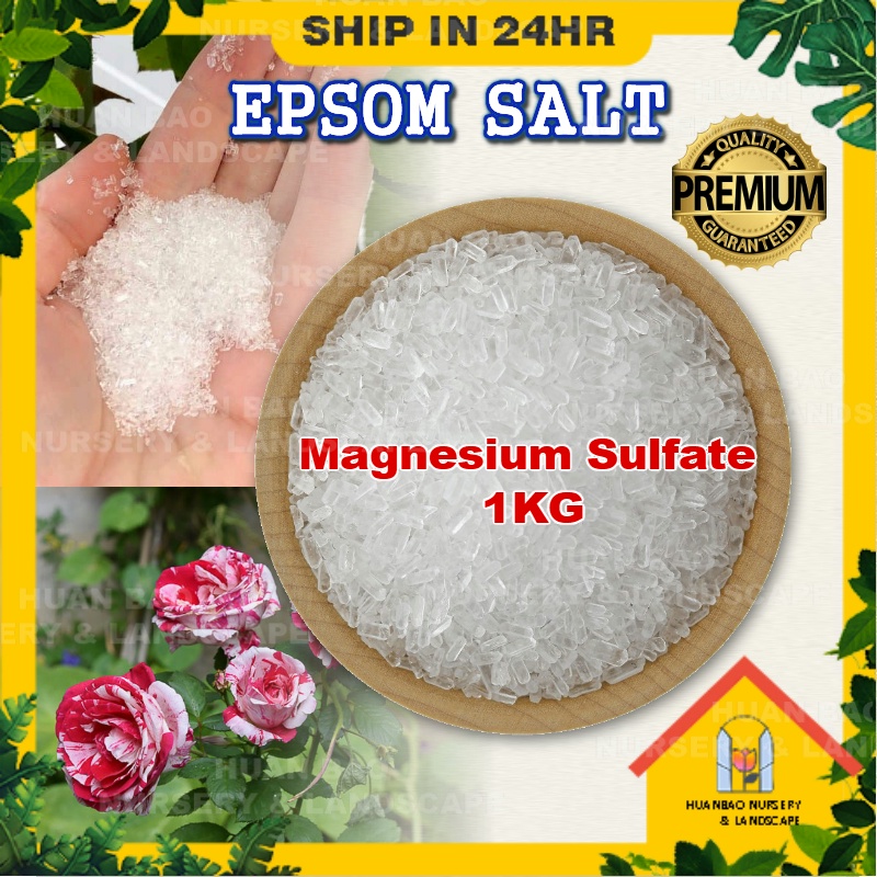 Epsom Salt Organic Fertilizer Plant Nutrient Baja Organik Magnesium