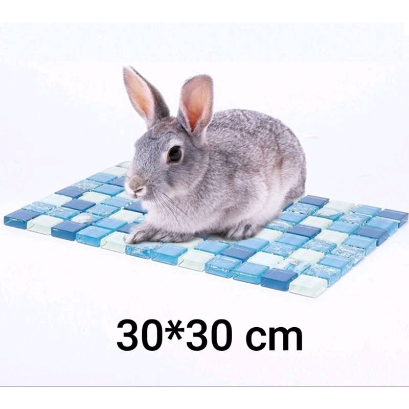 🔥Ready Stock🔥Hamster rabbit chincilla cooling mat 30*30cm | Shopee Malaysia