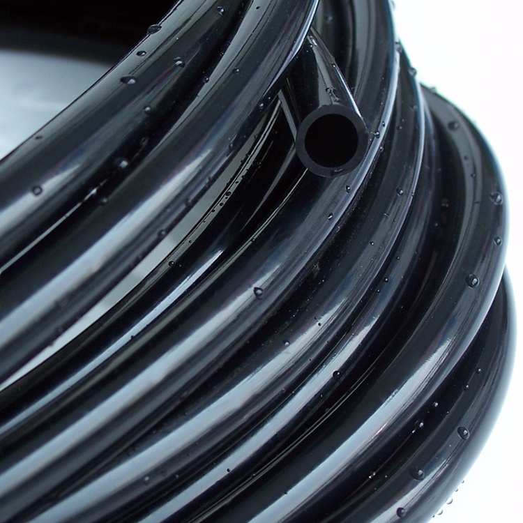 Rotax Max Véritable Bielle À Piston Broche Véritable pour Tout Classes