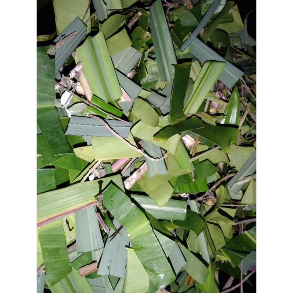 MANDIAN HERBA ATAU MANDIAN BERPANTANG | Shopee Malaysia