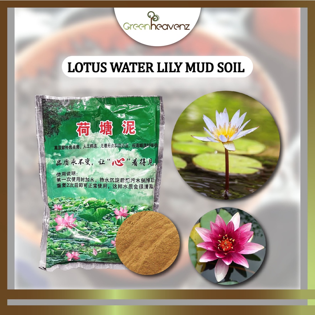 Engrais pour la plante aquatique 200 g pour le lotus, lis à eau, bol Lotus, nutriments de croissance efficaces pour les plantes d'aquarium