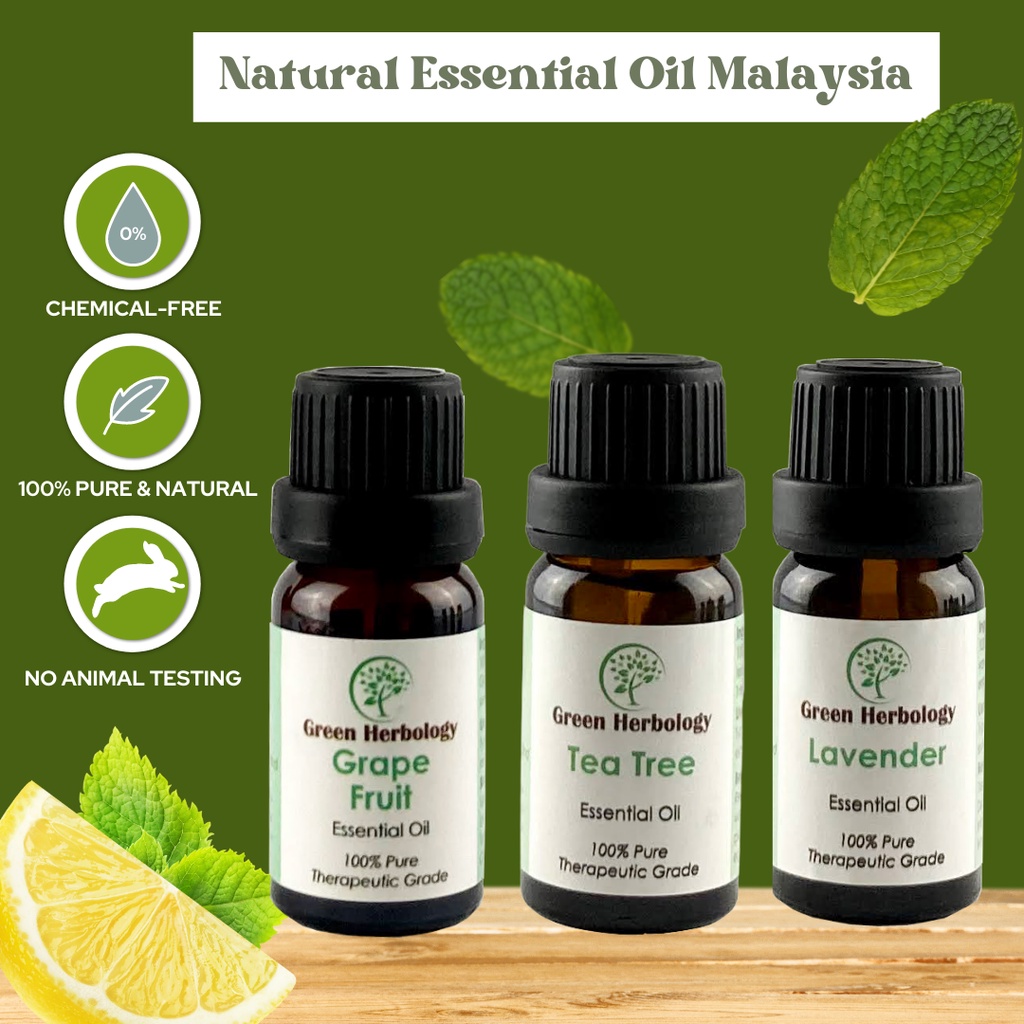 Natural Essential Oil Malaysia 10ML Aromatherapy Diffuser Shopee Malaysia