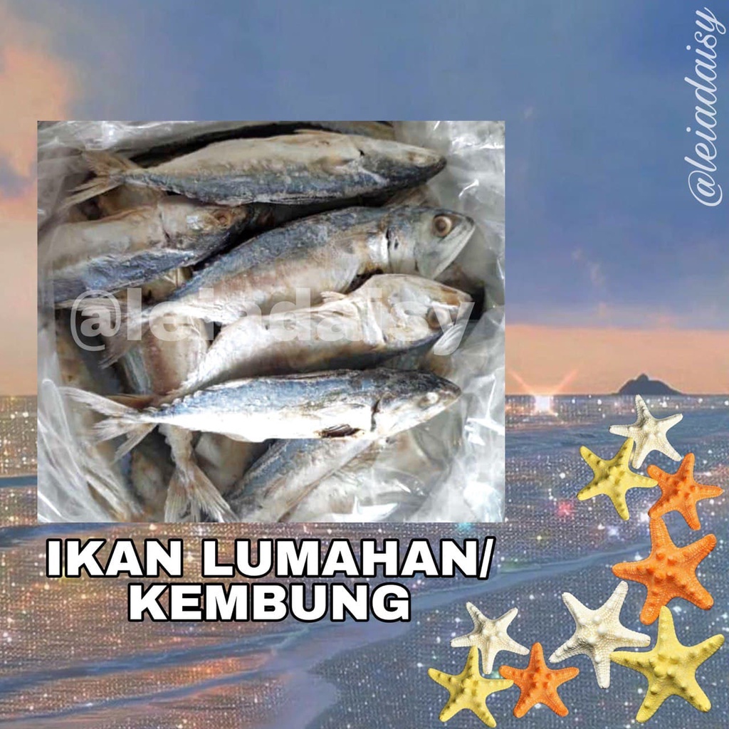 Ikan Masin Kering Sabah Gelama Belah Sulit Yu Talang Liking