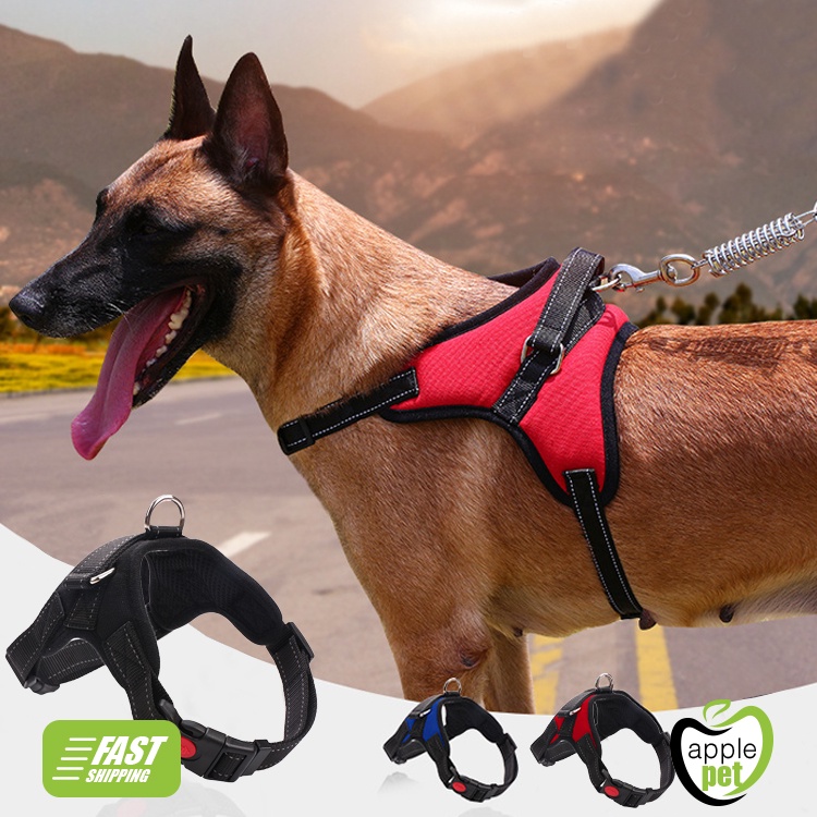 Dog Body Harness Strong Dog Harness Leash Small Medium Large Extra