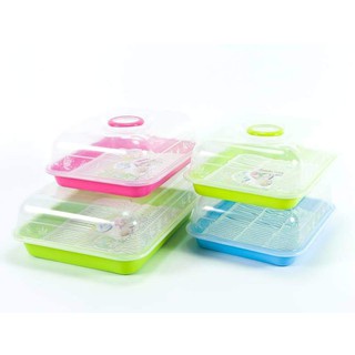 Bestware Plastic Serving Tray/ Food Storage Tray With Filter & Cover ...