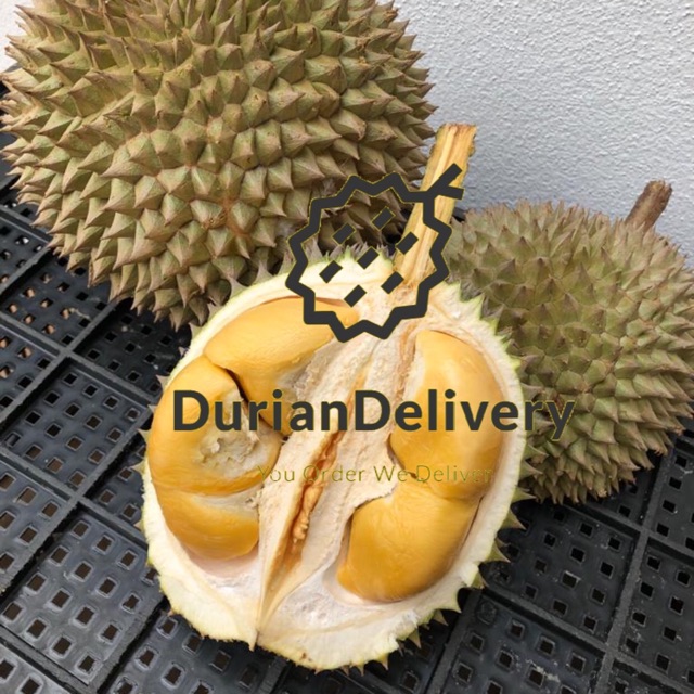 Fresh Whole Fruit Blackthorn @D200 from Penang | Shopee Malaysia