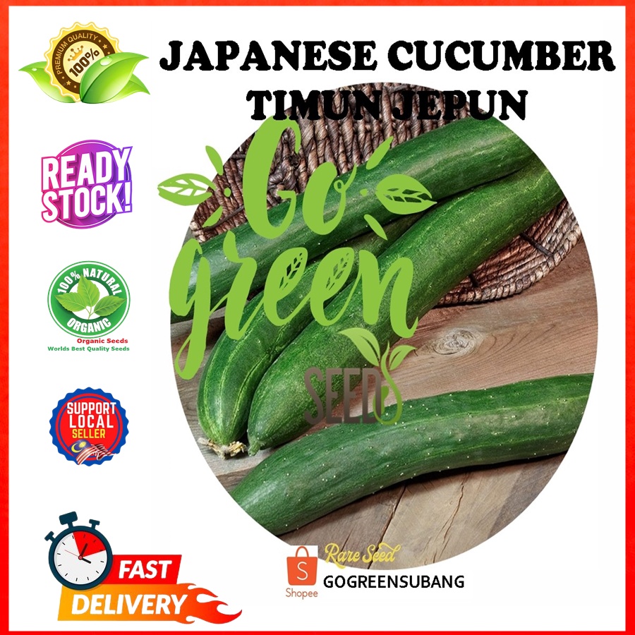 GO GREEN JAPANESE CUCUMBER SEEDS BENIH TIMUN JEPUN VERY FAMOUS WITH ...