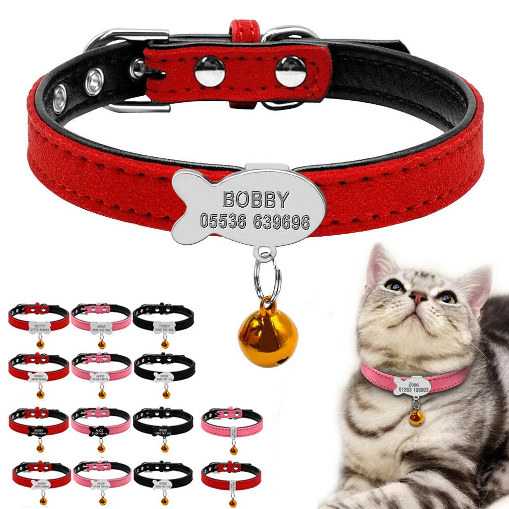 Cat collars with names best sale on them