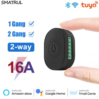 Smatrul Tuya 10a/16a/20a Us Wifi Smart Plug Power Socket Voice, App Remote  Control Timing Countdown, Family Sharing Home Appliances Smart Living Works  With Alexa Google Home, No Hub - Temu