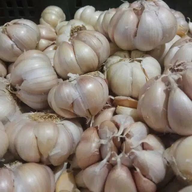 Garlic 1 Kg | Shopee Malaysia