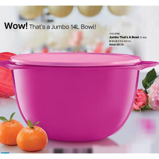 Tupperware Thatsa Bowl 14 Liter