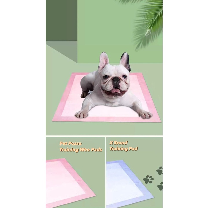 Pet posse training pads best sale